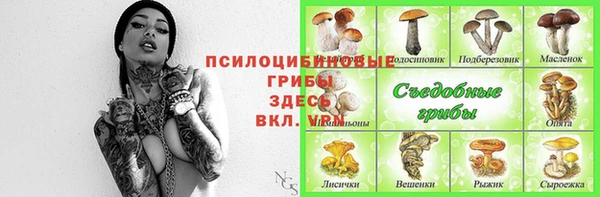 стафф Лабытнанги