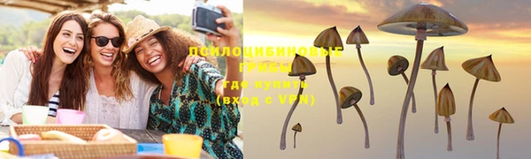 стафф Лабытнанги