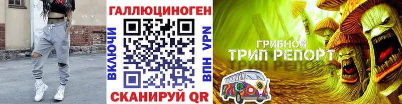 Галлюциногенные грибы мицелий  Купить  Кириллов 